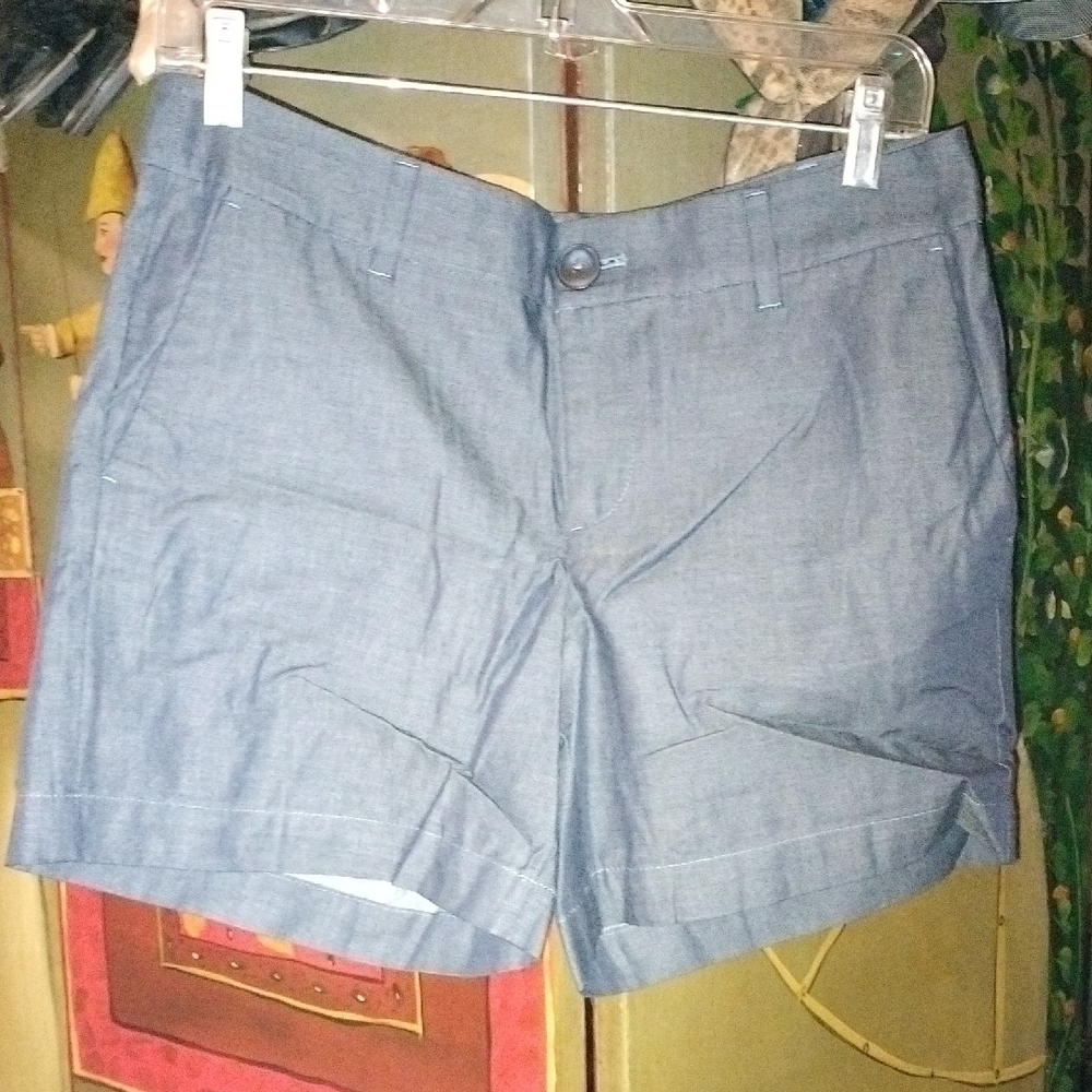 Ann Taylor Denim Blue Flat Front Shorts